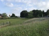 Click for all images